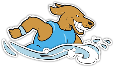 Ringsted Hundesvømning